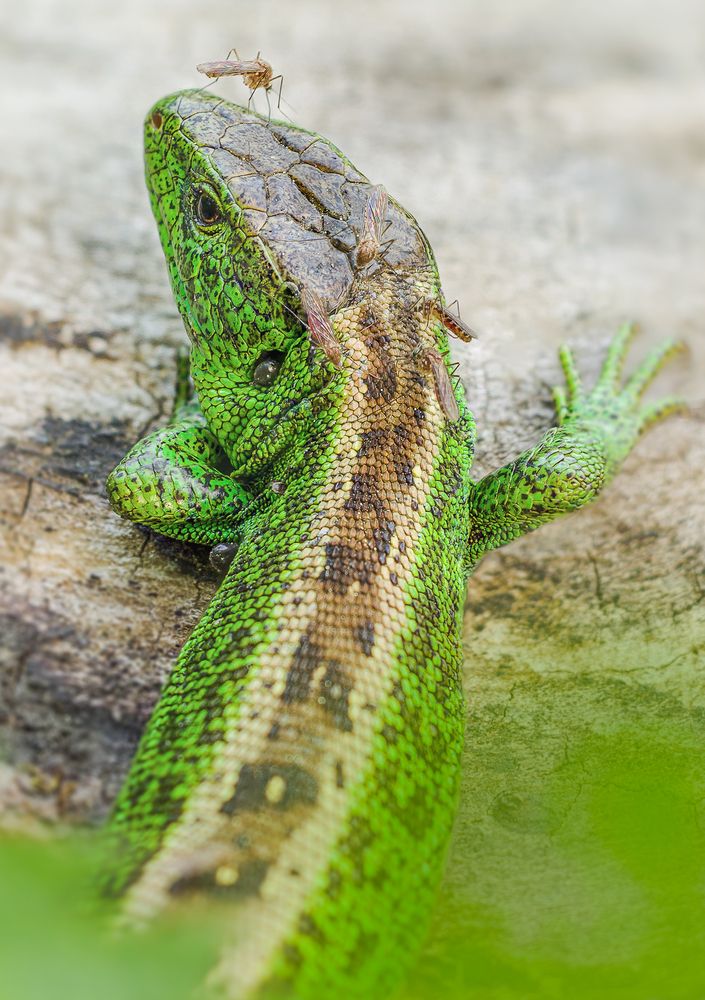 Photograph by Patryk George