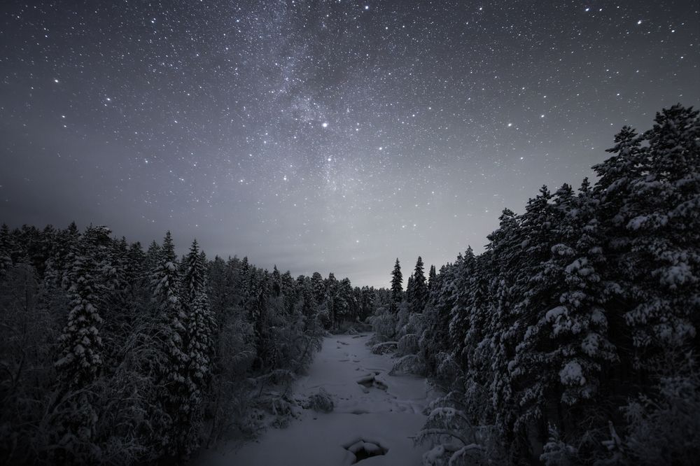 Photograph by Парамонов Григорий