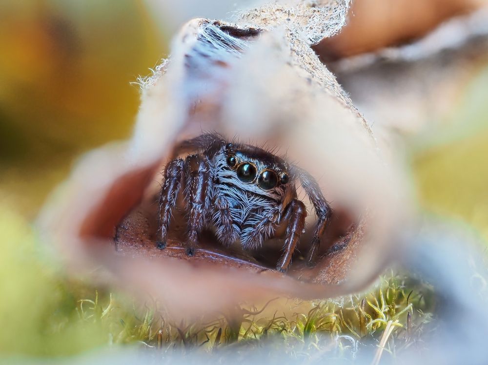 Photograph by Максим Кошелев