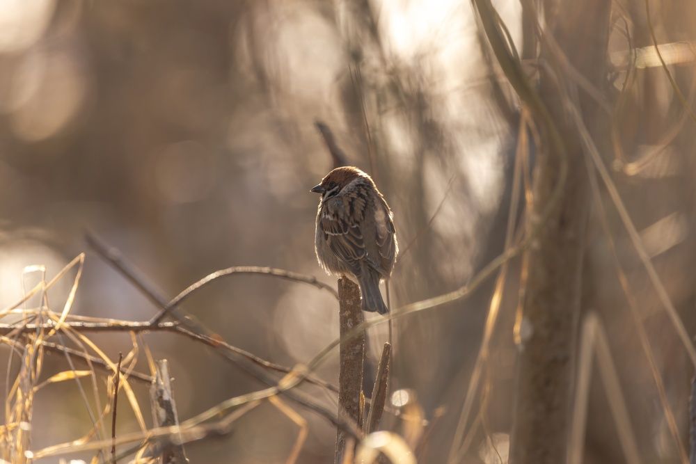 Photograph by Хабаров Сергей