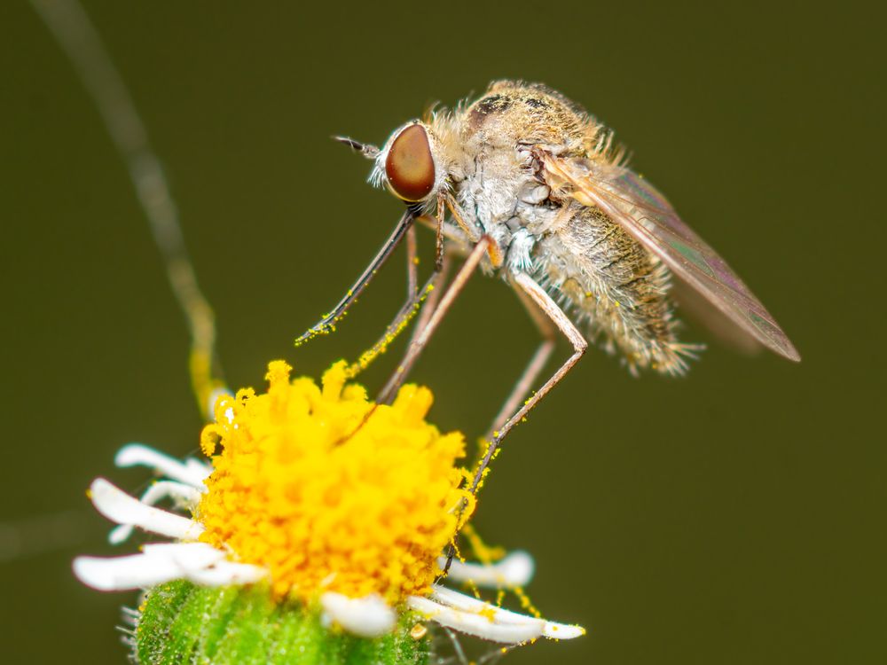 Photograph by Jose Martin Ceja Medina