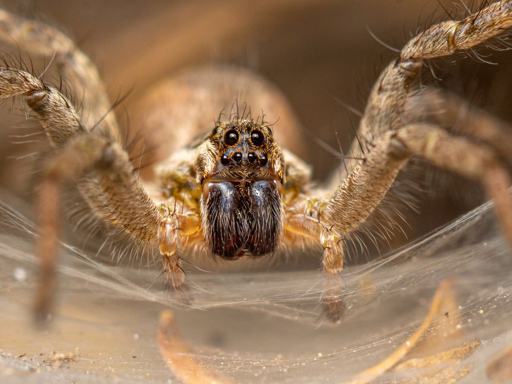 Photograph by Jose Martin Ceja Medina