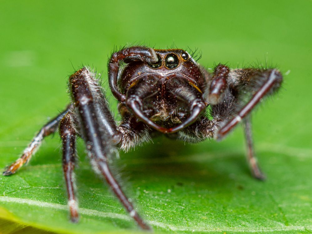 Photograph by Jose Martin Ceja Medina