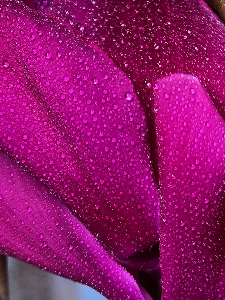 Photograph by Лилия Нуриева