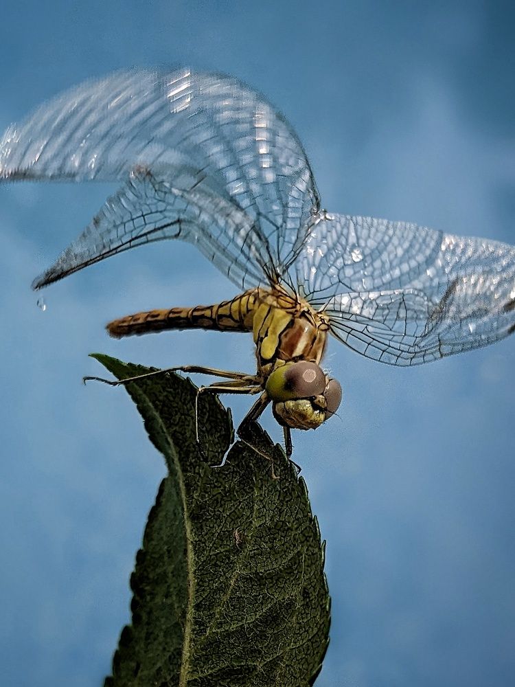 Photograph by Ирина Багдасарова