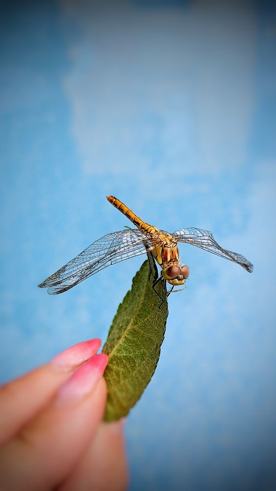 Photograph by Ирина Багдасарова