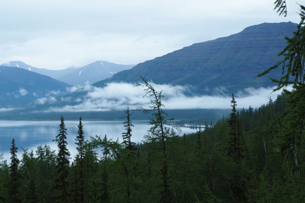 Photograph by Анна Тиунова