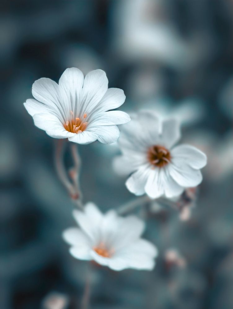 Photograph by Алексей