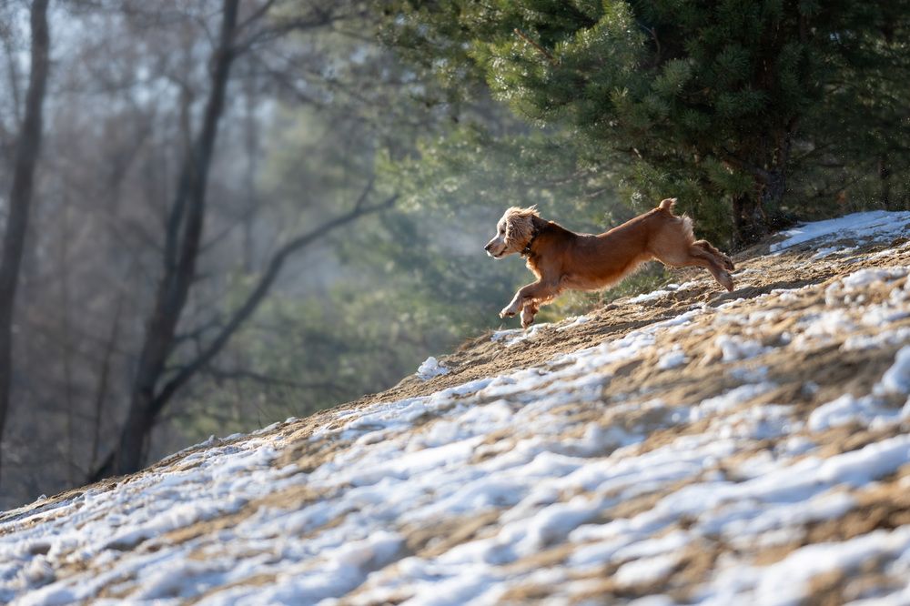 Photograph by Елена Якусева