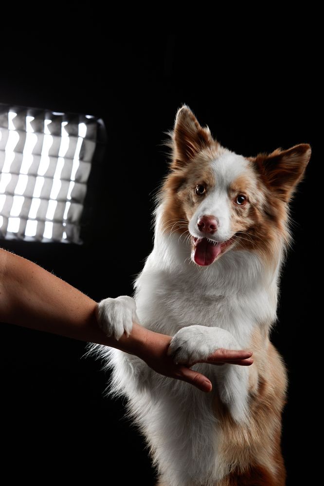 Photograph by Лана Полякова