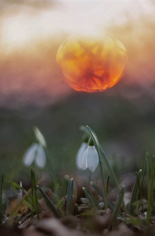 Photograph by Щепотина Татьяна