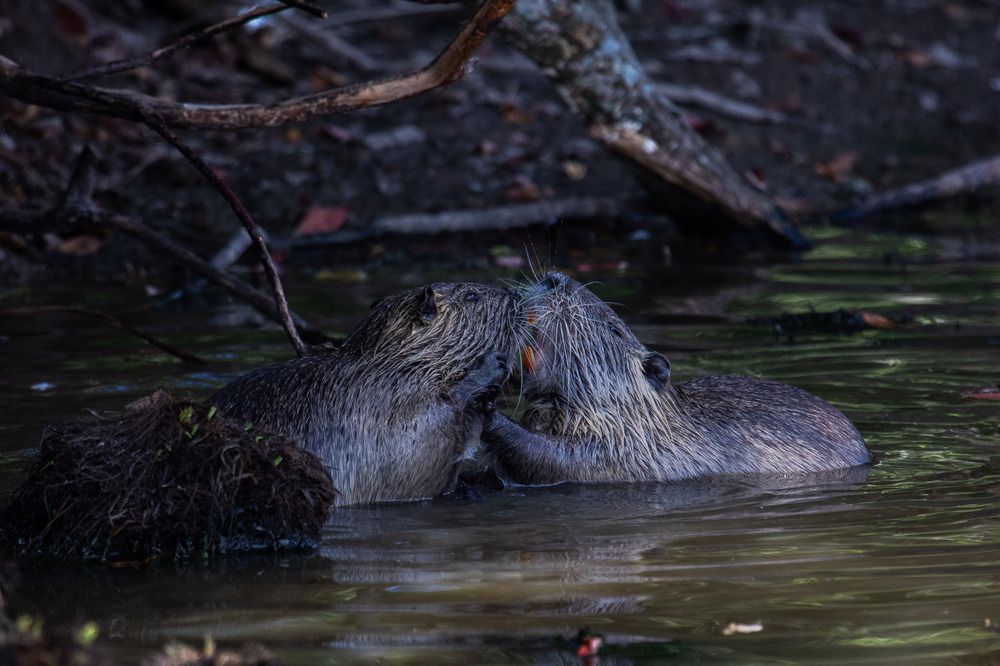 Photograph by Andrey Kul