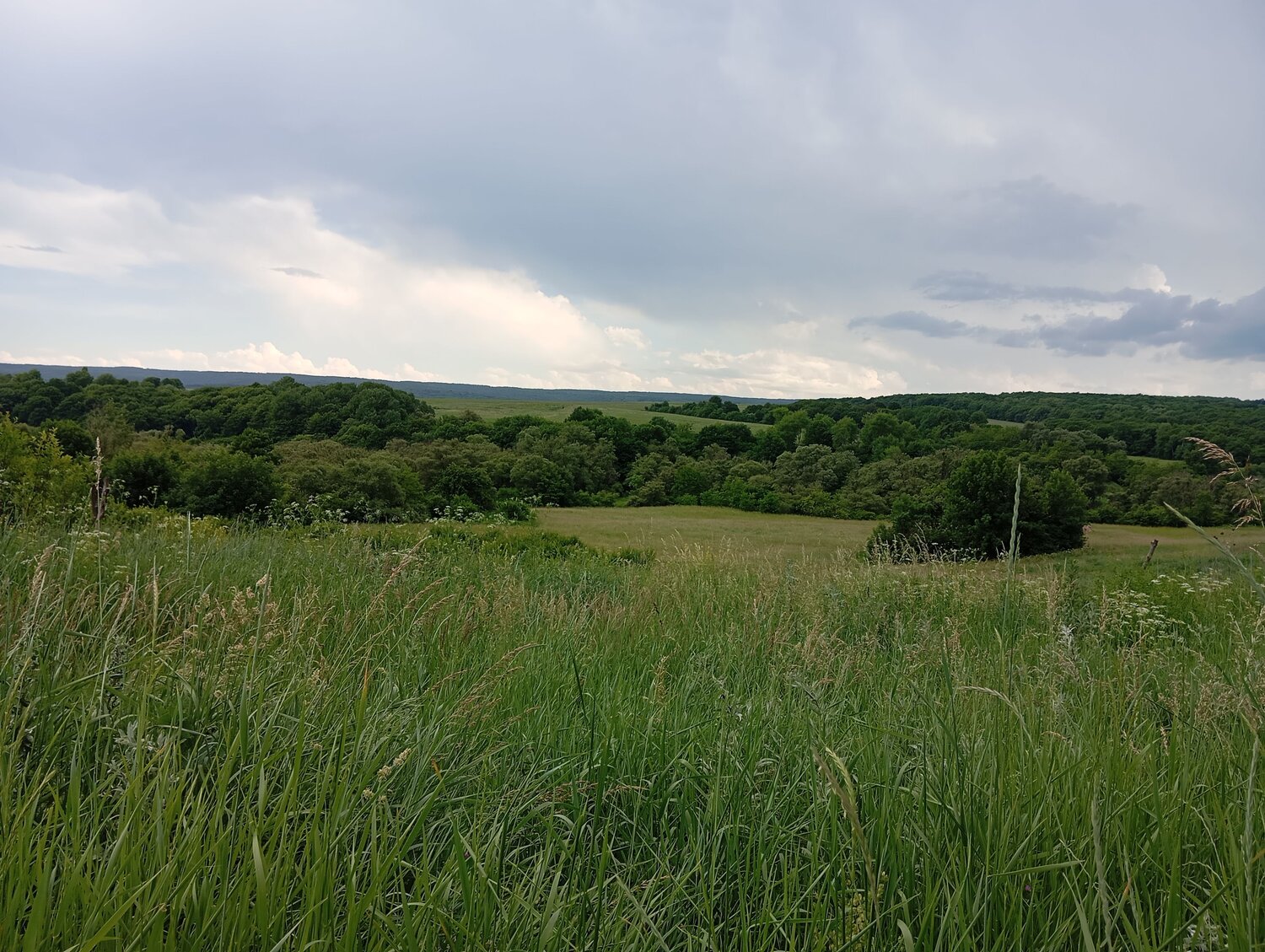 Photo #11996462