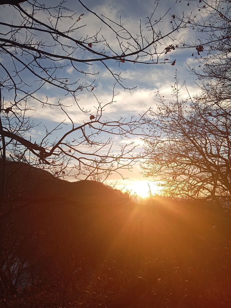 Photo #11996464