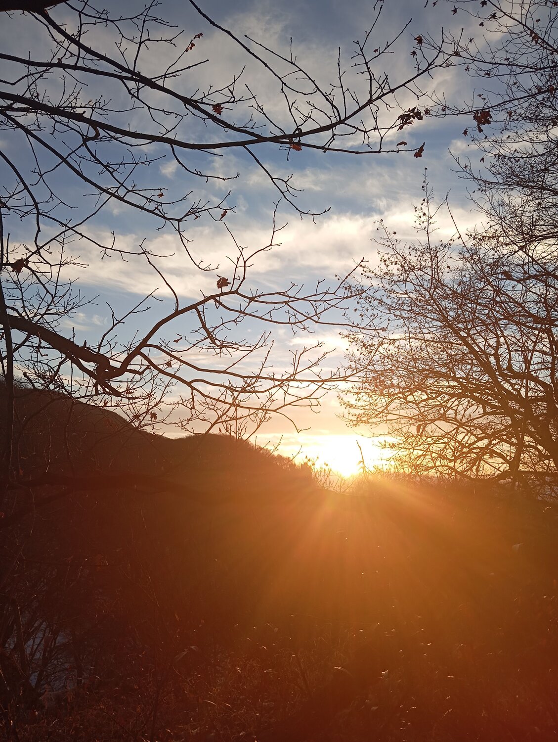 Photo #11996464