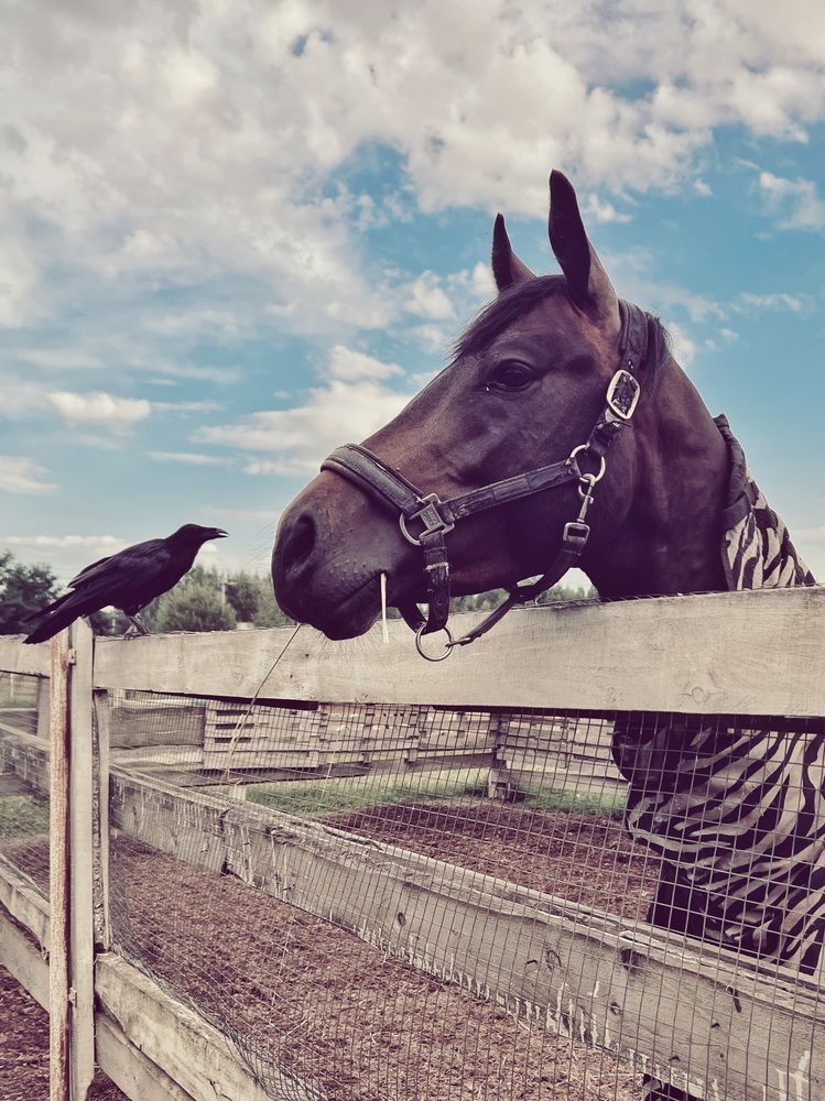 Photograph by Юлия Честнова