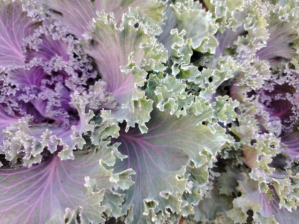 Галактика -2 Galaxy -2