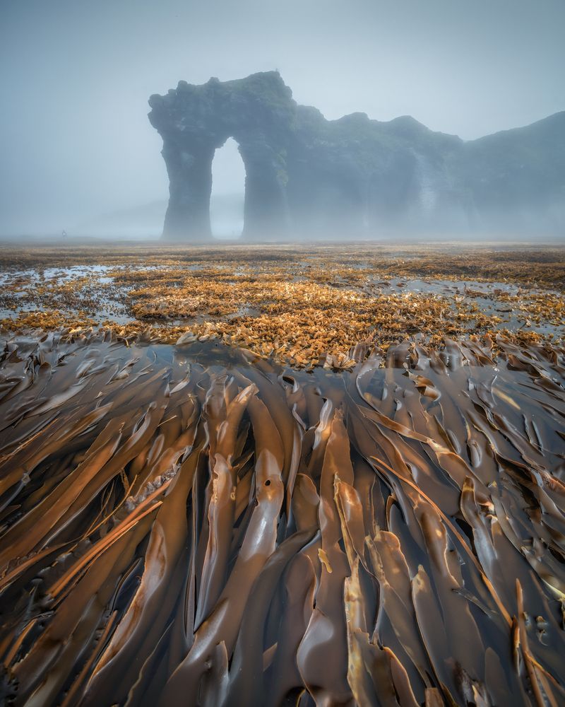 Photograph by Андрей Грачев