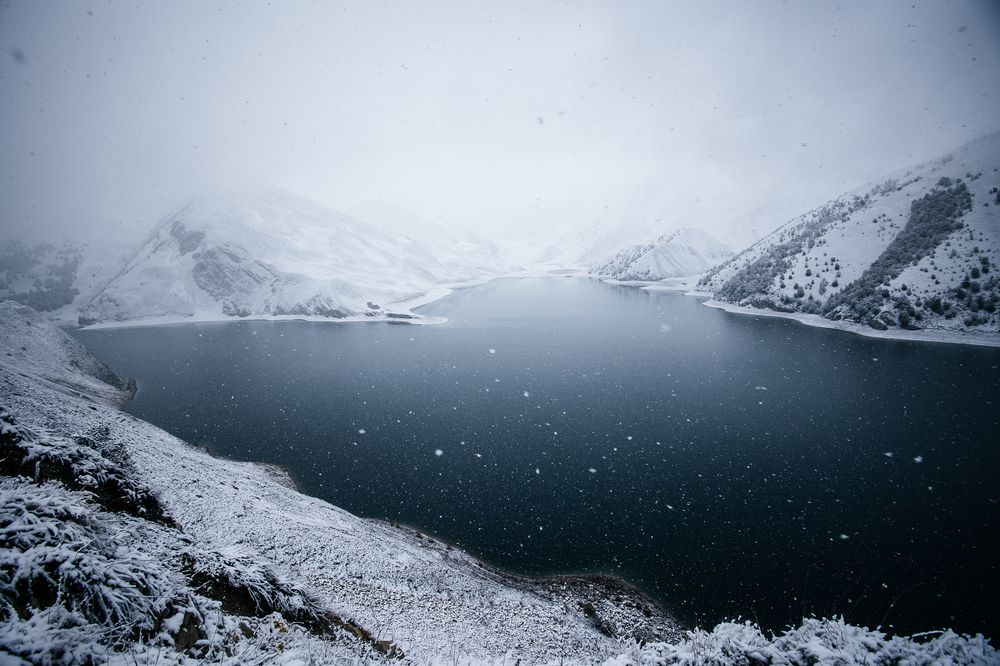 Photograph by Мария Раздорова