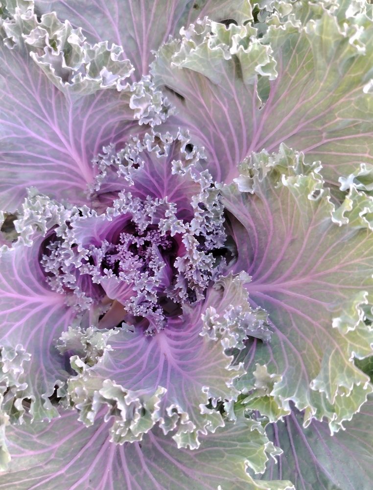 Галактика -3 Galaxy - 3