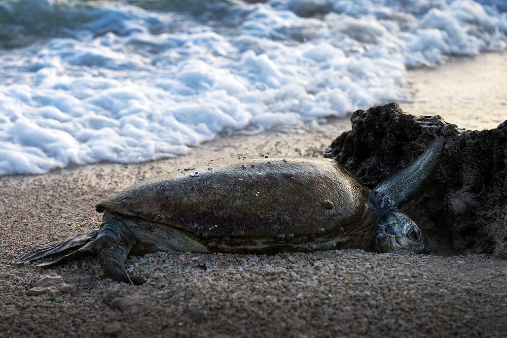 Photograph by zeinab mokhtari