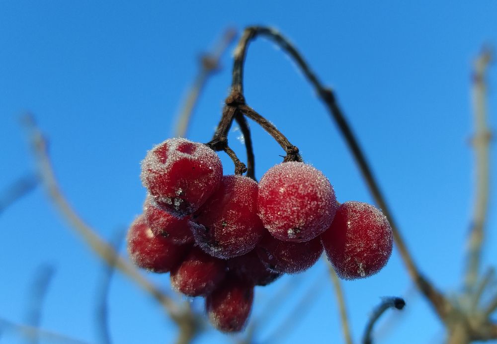 Photograph by Елена Попова