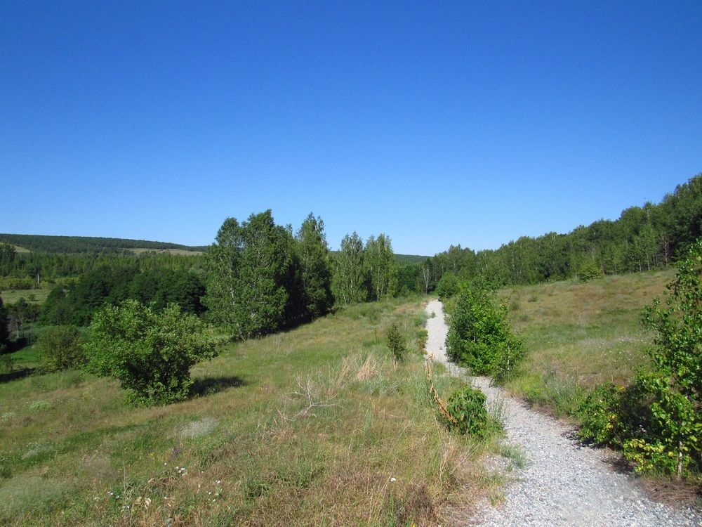 Photograph by Денис Веску