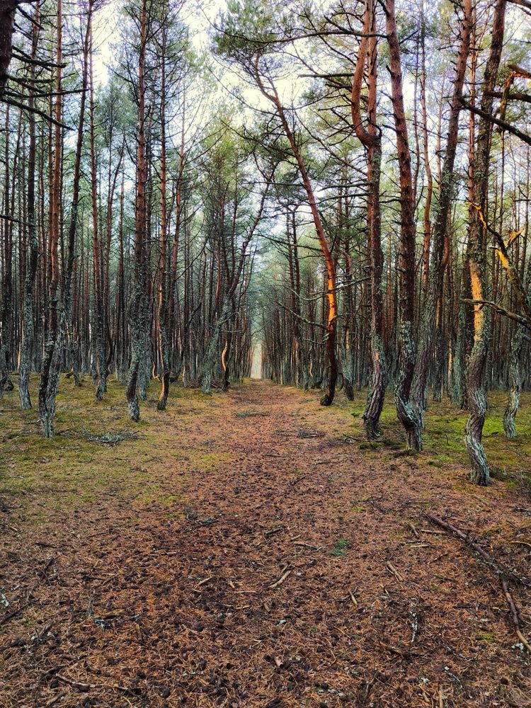 Photograph by Olga Nevedrova