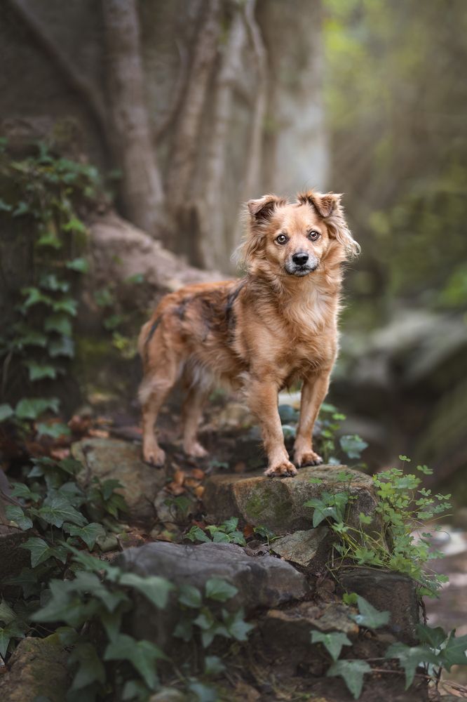 Photograph by Leticia Hernandez