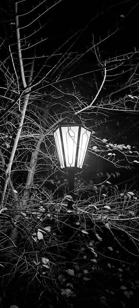 Photograph by Ирина Бочарова