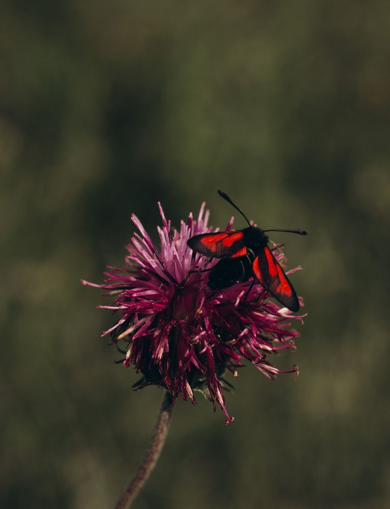 Photograph by Лилия Эссерт