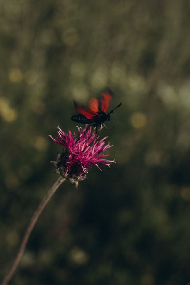 Photograph by Лилия Эссерт