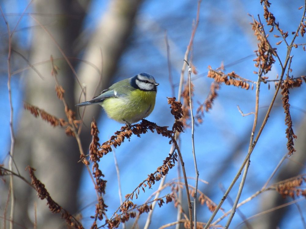 Photograph by Денис Веску