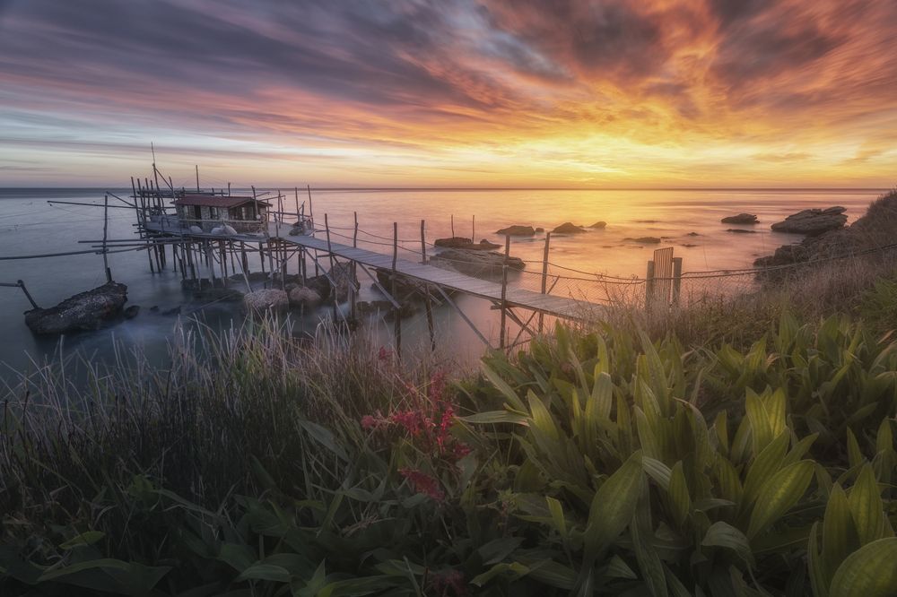 Photograph by Andrea Curzi