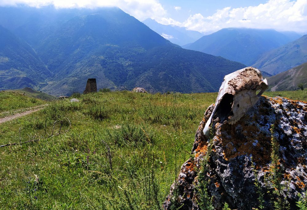 Photograph by Ольга Стоун