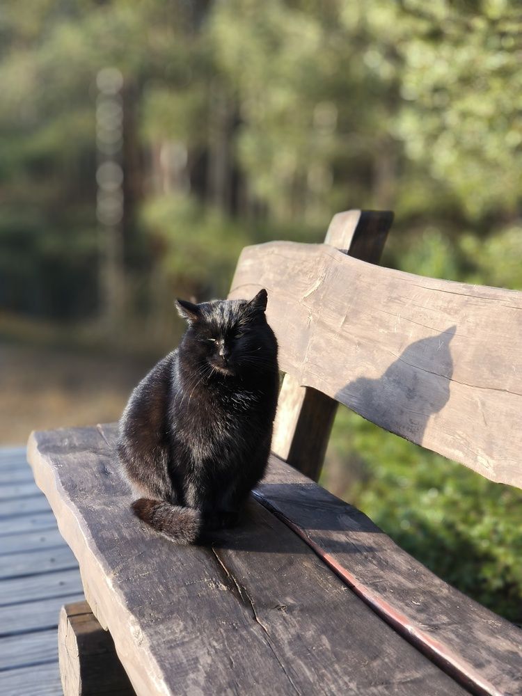 Photograph by Olga Nevedrova