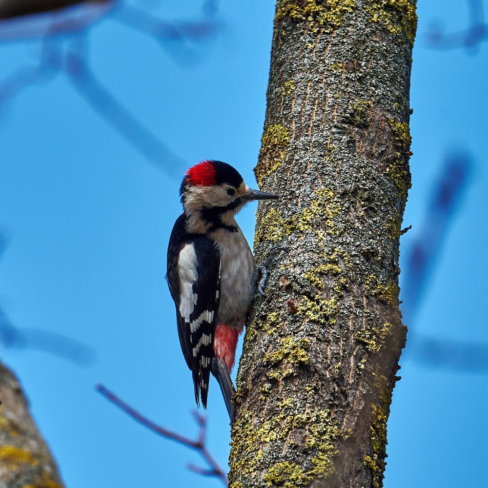 Photograph by Ярослав Сергеевич