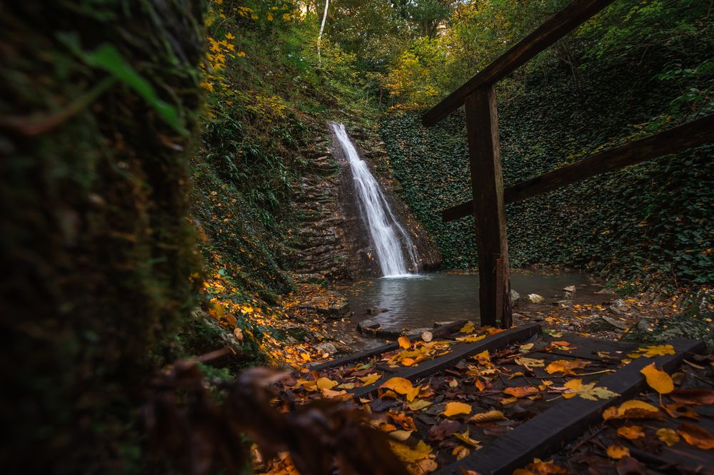 Photograph by Дмитрий Грошиков