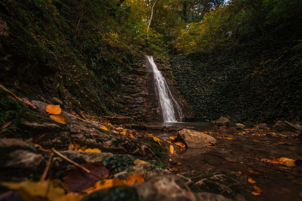 Photograph by Дмитрий Грошиков