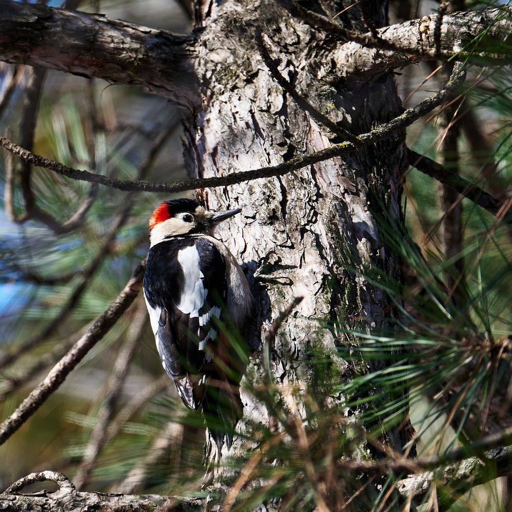 Photograph by Ярослав Сергеевич