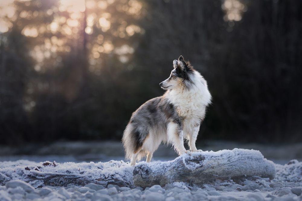 Photograph by Daniela Schmid