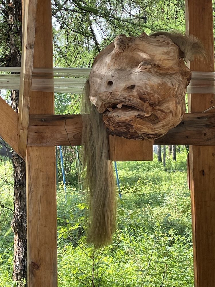 Я все вижу