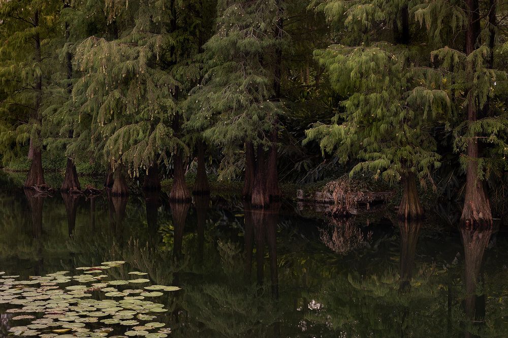 Photograph by Alexandr Kurylev