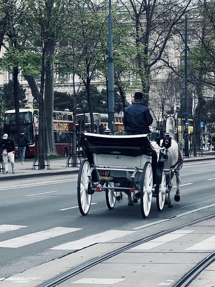 Фотография автора Swetlana Brenitsch