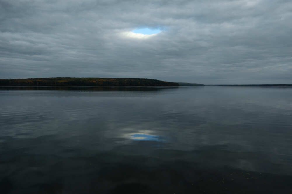 Портал в лето