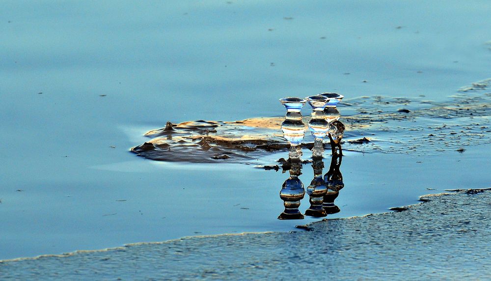 Фотография автора Антип