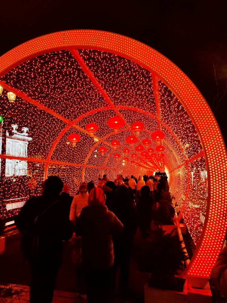 Photograph by DARIA DEMINA