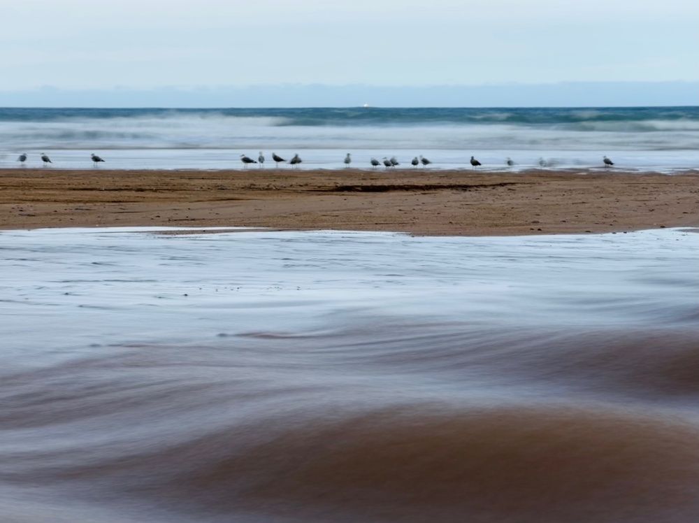 Photograph by Evgenia Barinova