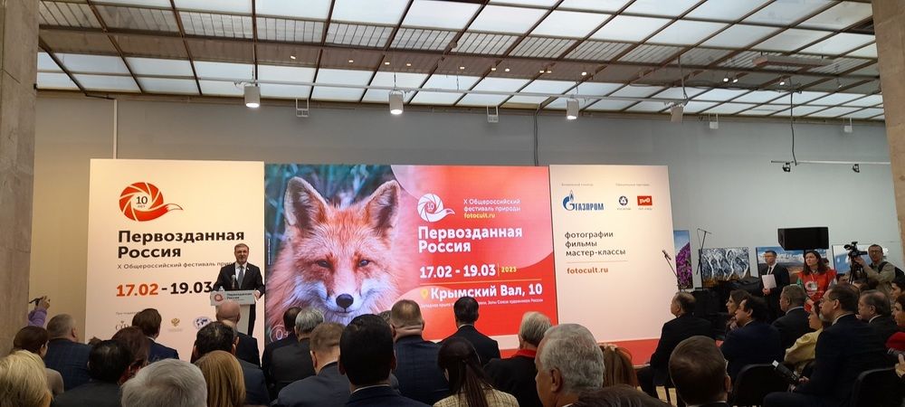 Photograph by Денис Веску