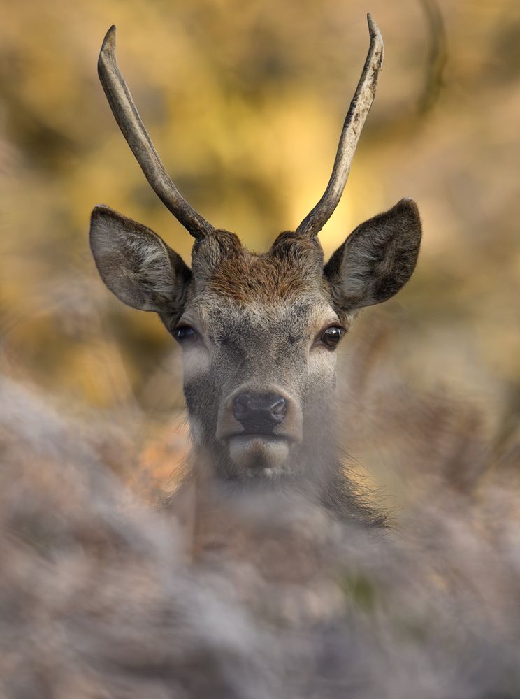 Фотография автора Lukasz Wojcik
